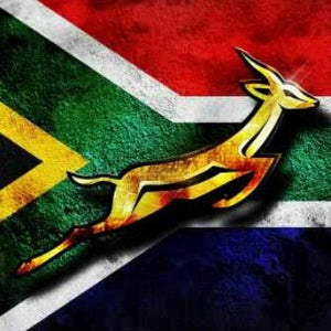 The Springbok: The South African National Animal