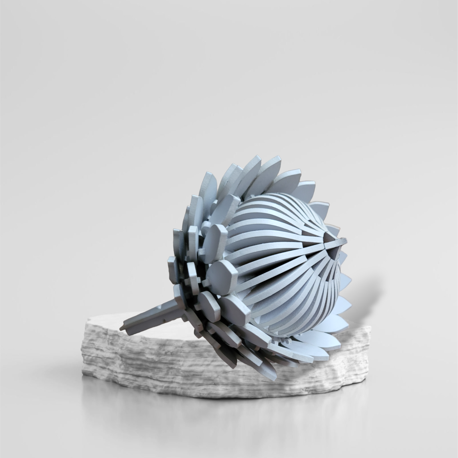 Wooden Protea - Stone Grey