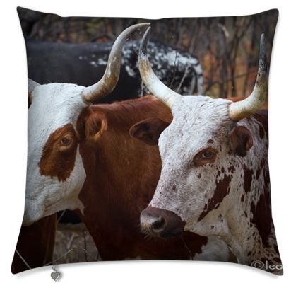 Nguni Cushion Cover