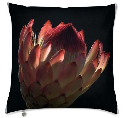 Protea Cushion Cover