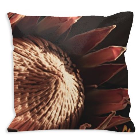 Protea Cushion Cover