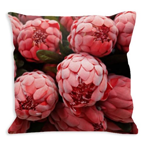 Protea Cushion Cover
