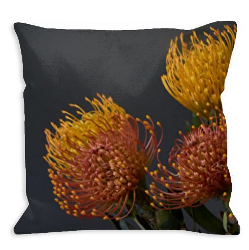 Protea (Pin Cushion) Cushion Cover