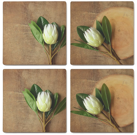 White King Protea Coasters (Set of 4)