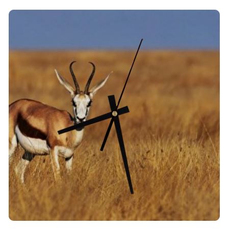 Springbok Wall Clock
